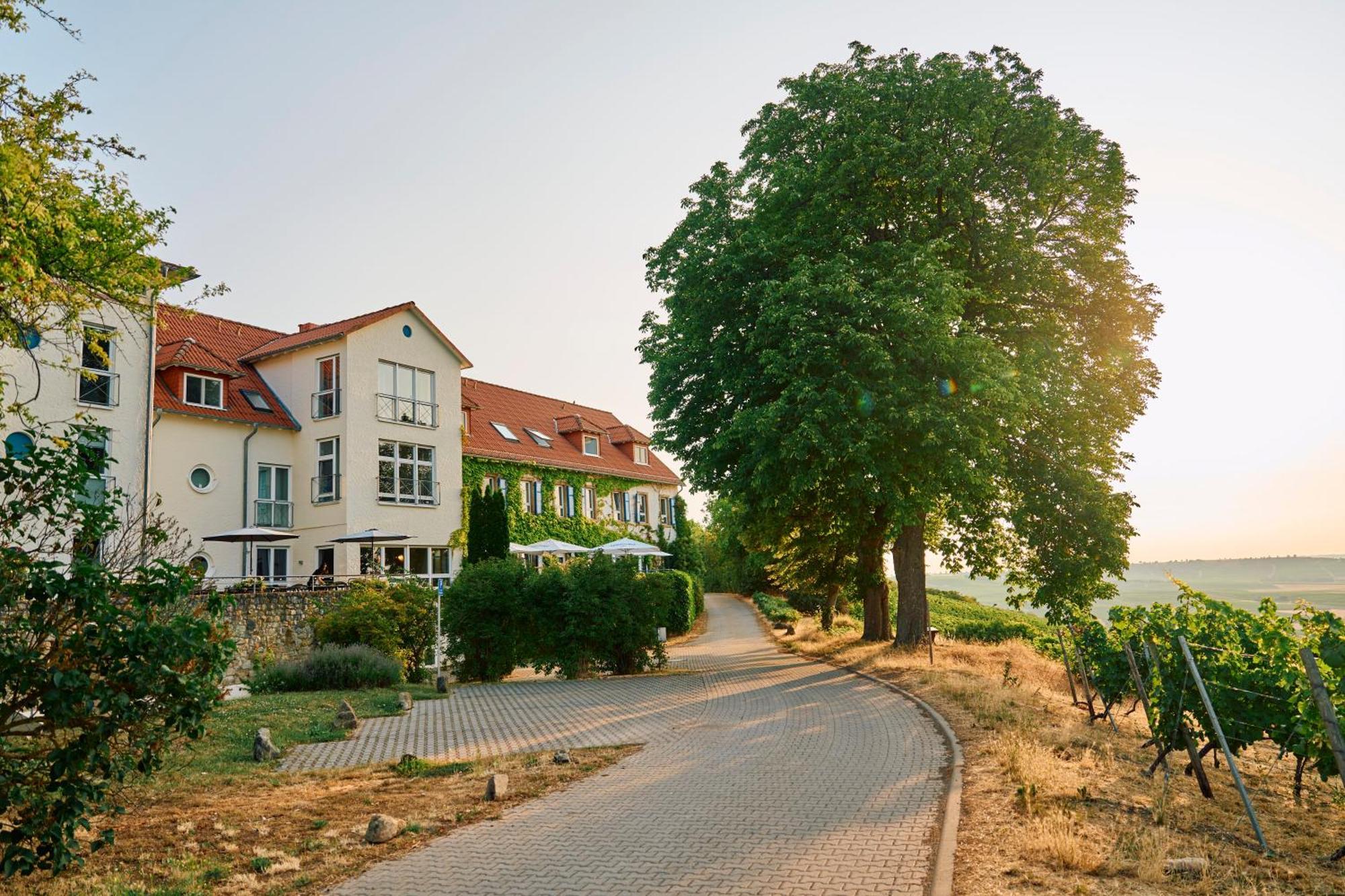 Hofgut Wissberg - Das Weinberghotel Sankt Johann  Extérieur photo