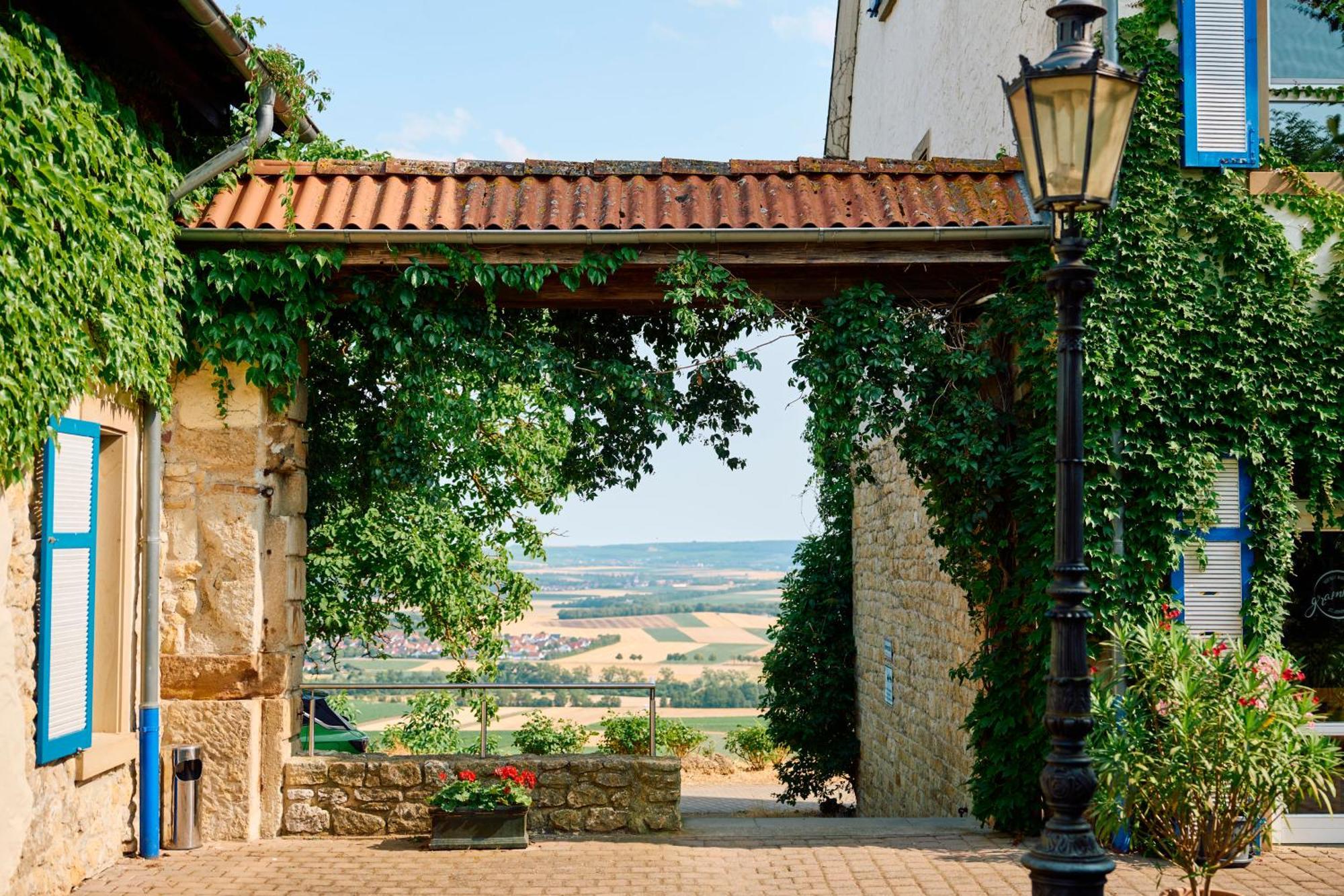Hofgut Wissberg - Das Weinberghotel Sankt Johann  Extérieur photo